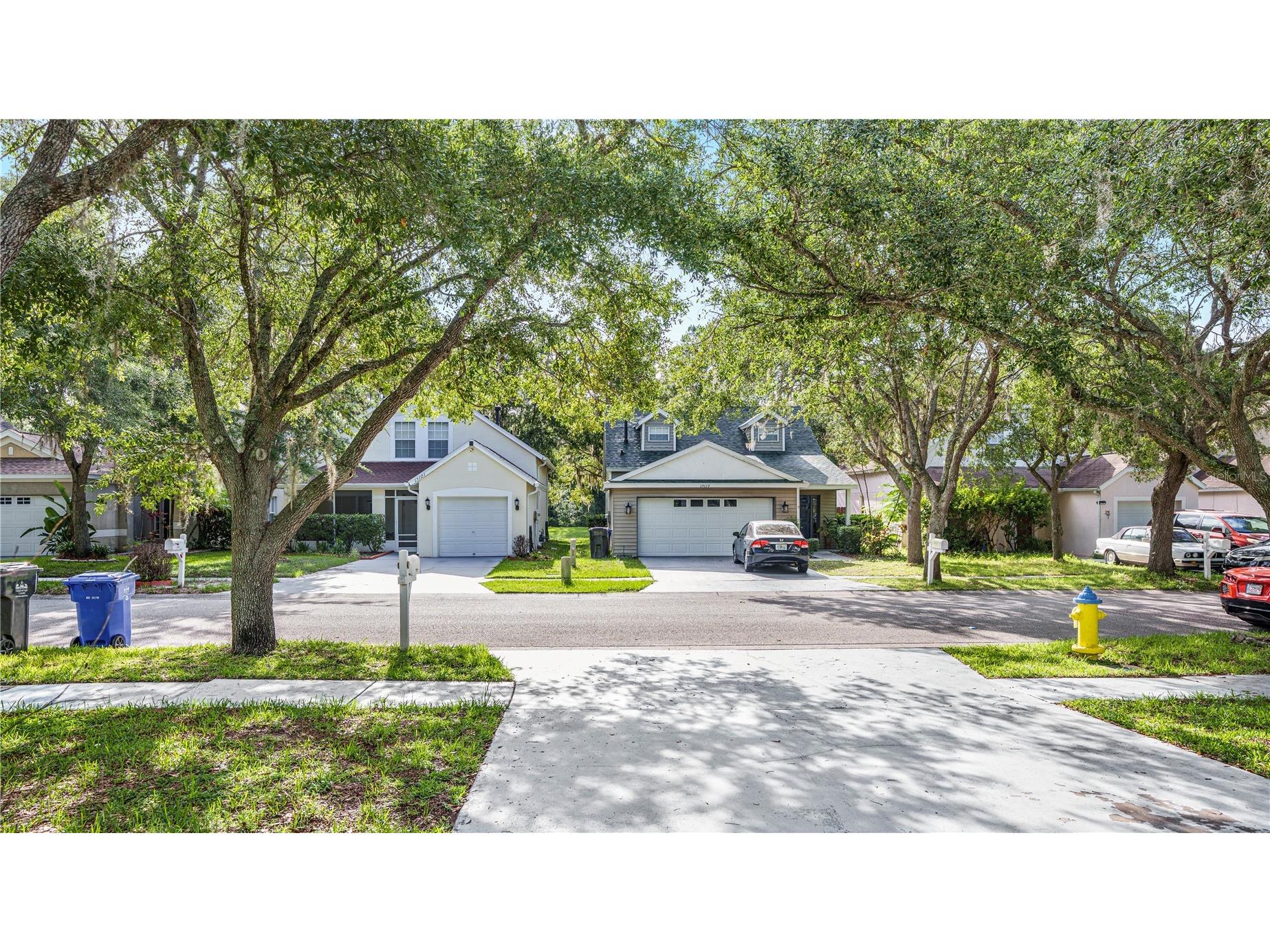 15120 Deer Meadow Drive Lutz FL 33559 TB8513861 image4