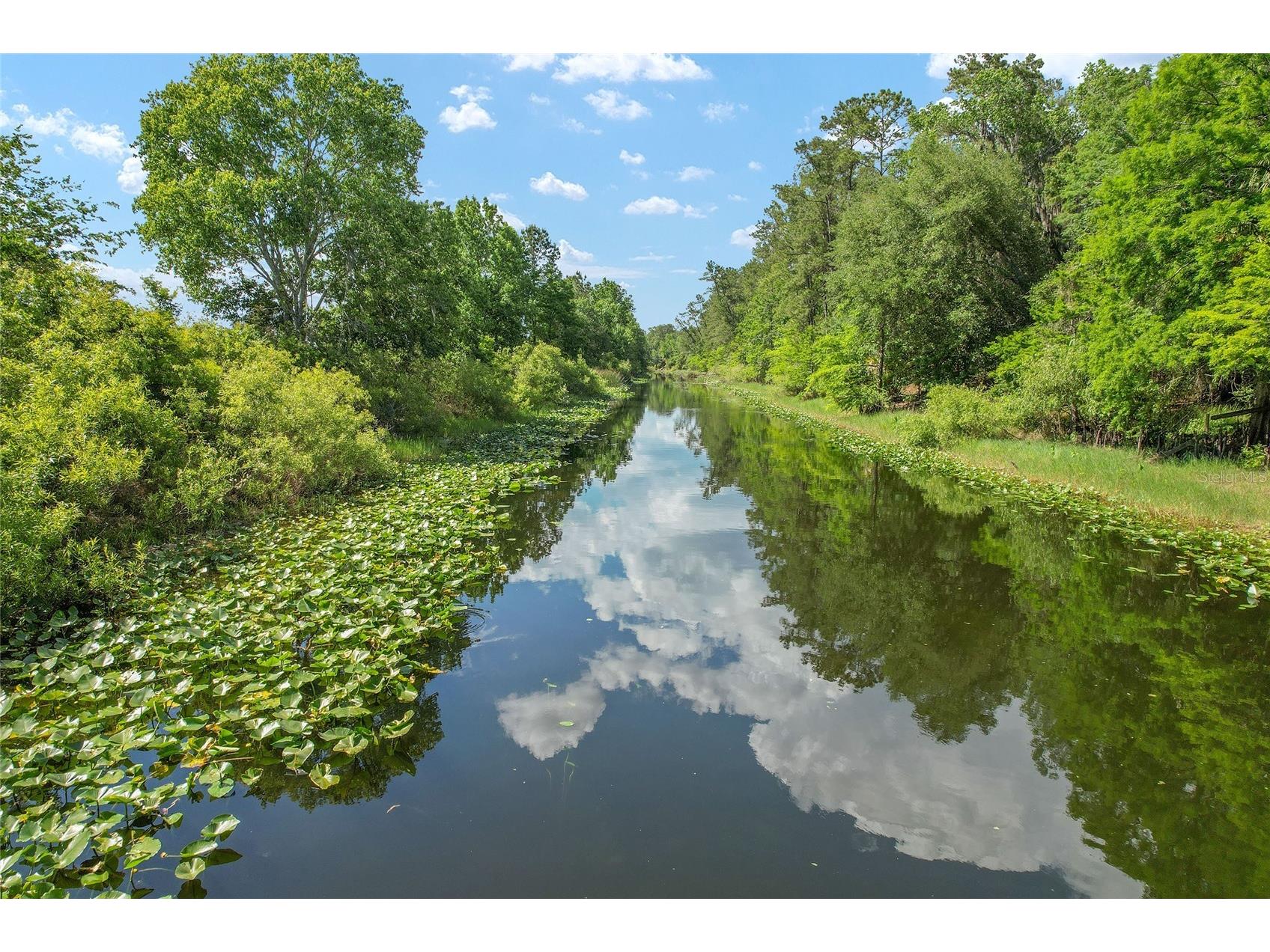 15120 SE 85th Street Ocklawaha FL 32179 OM723291 image14