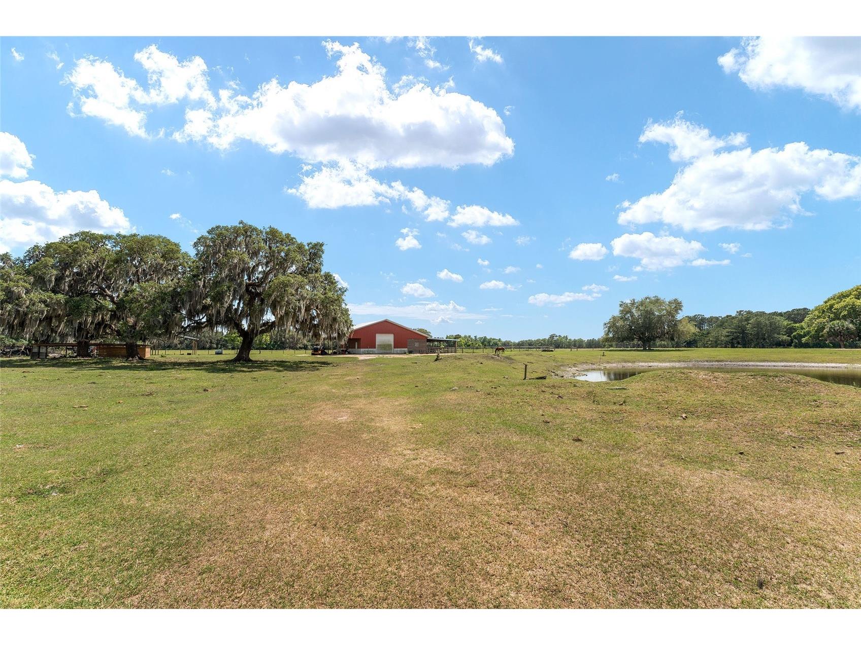 15120 SE 85th Street Ocklawaha FL 32179 OM723291 image27