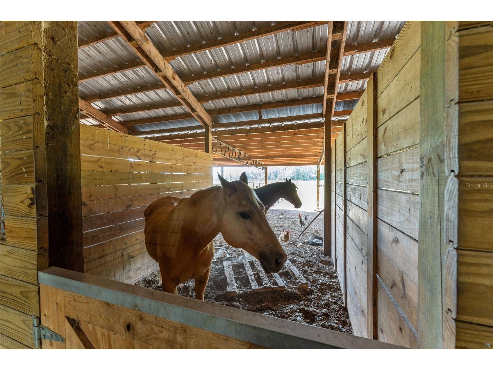 15120 SE 85th Street Ocklawaha FL 32179 OM723291 image33