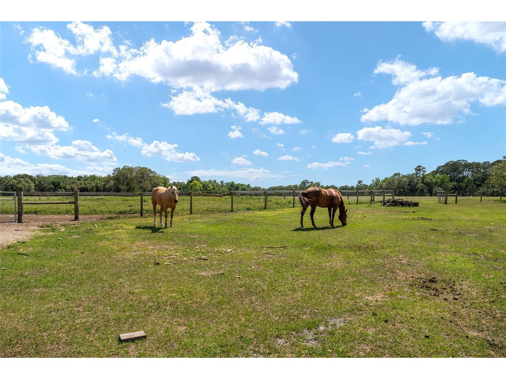 15120 SE 85th Street Ocklawaha FL 32179 OM723291 image39