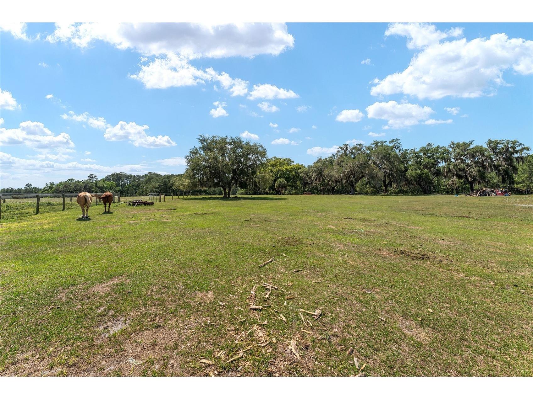 15120 SE 85th Street Ocklawaha FL 32179 OM723291 image41