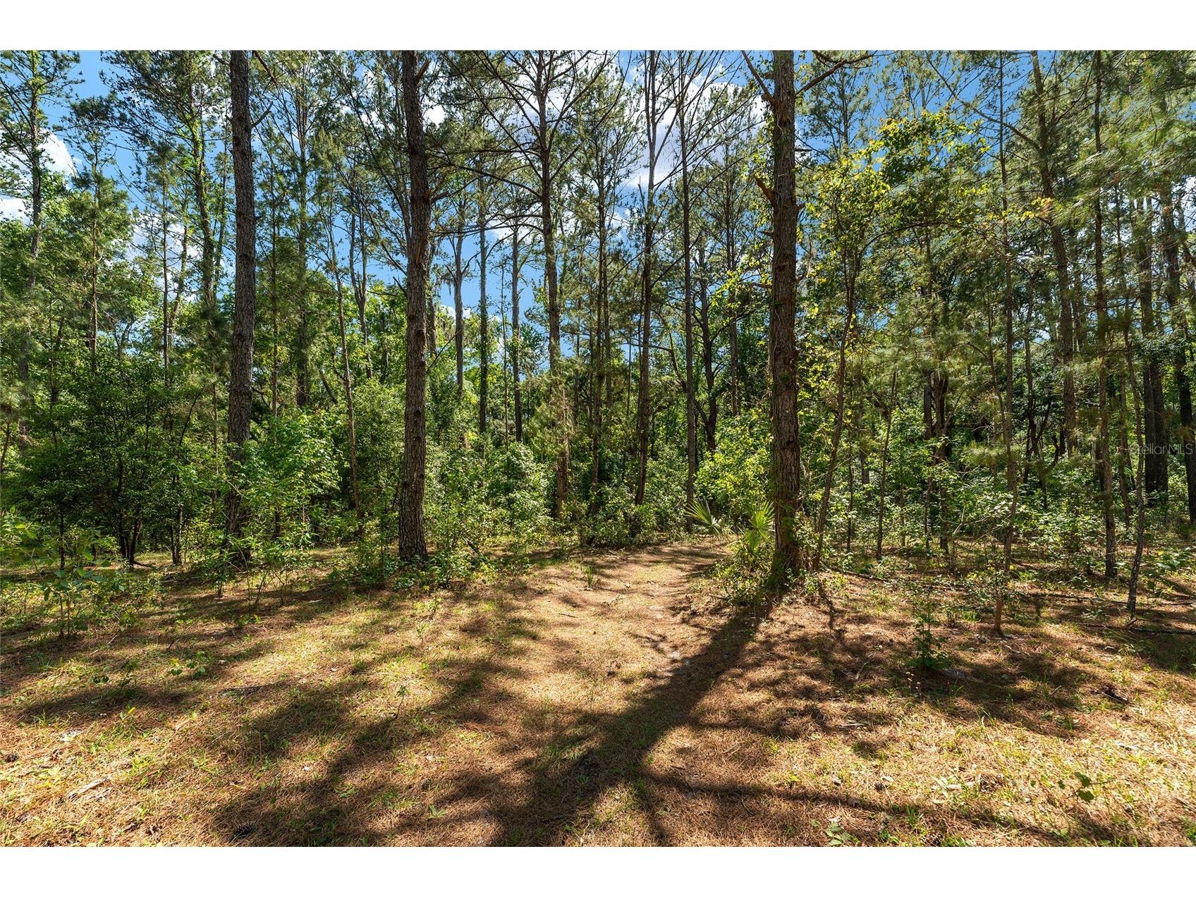 15120 SE 85th Street Ocklawaha FL 32179 OM723291 image42