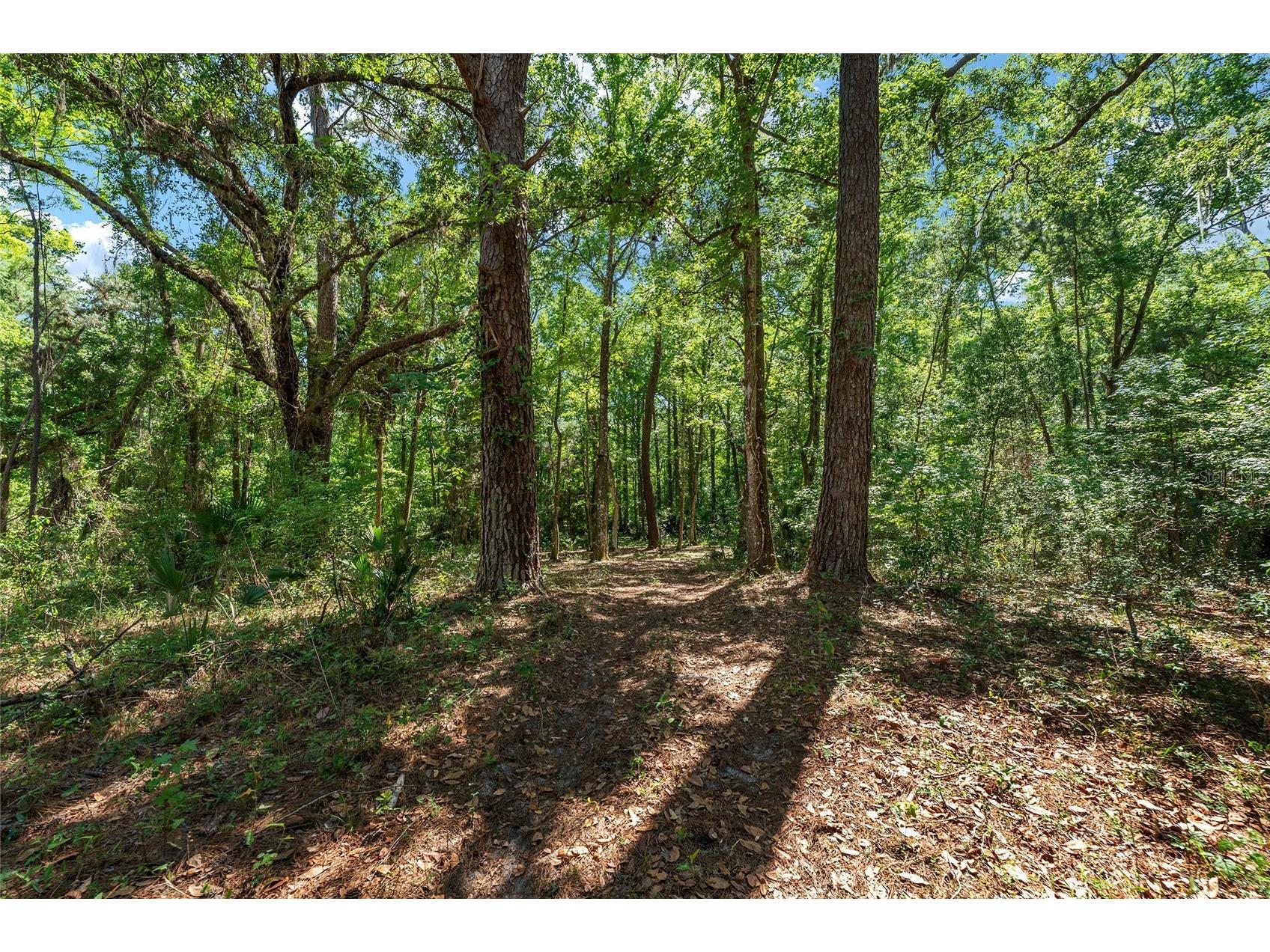 15120 SE 85th Street Ocklawaha FL 32179 OM723291 image43
