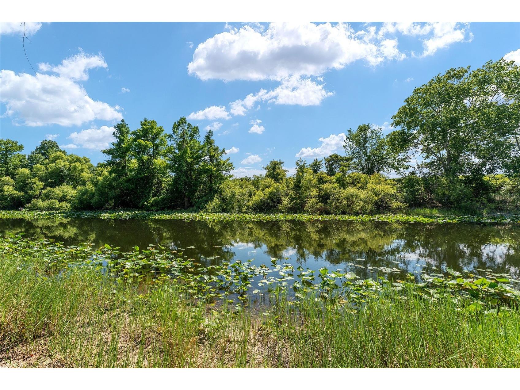 15120 SE 85th Street Ocklawaha FL 32179 OM723291 image48