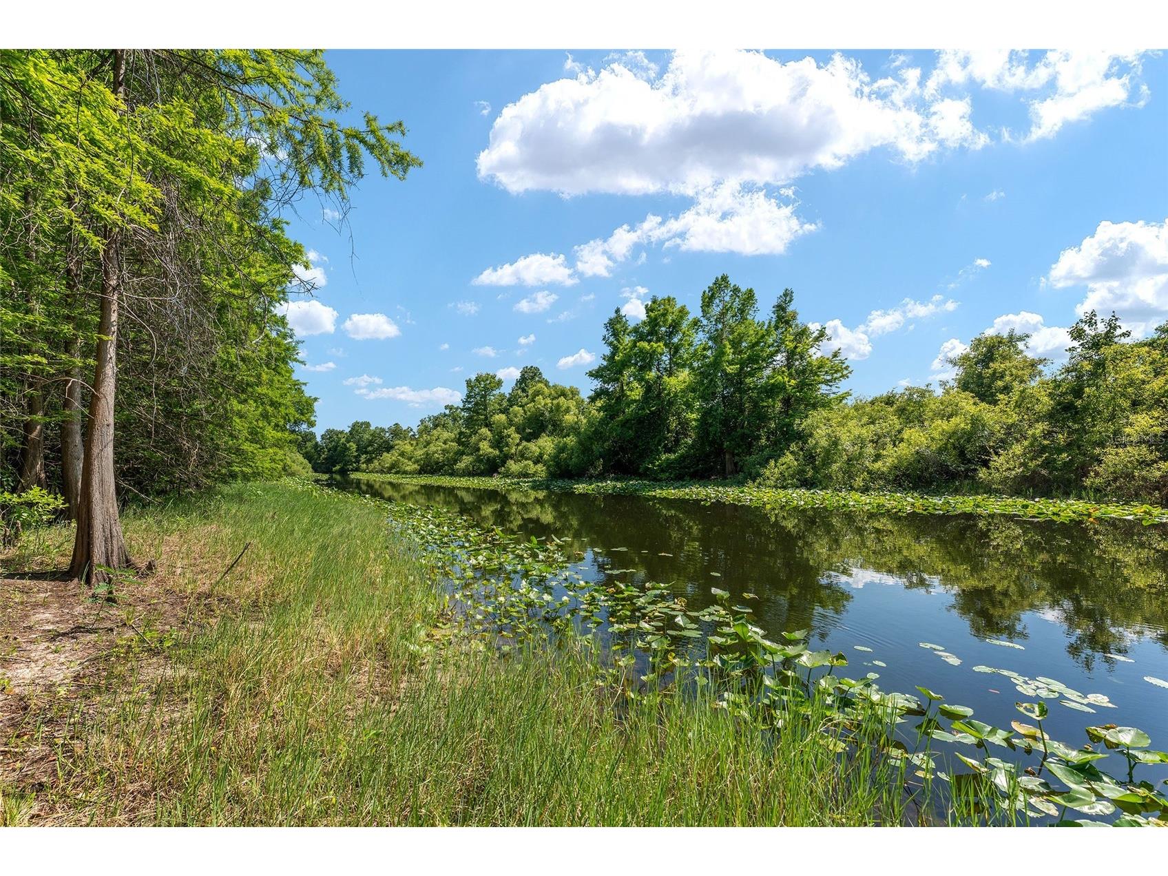 15120 SE 85th Street Ocklawaha FL 32179 OM723291 image49