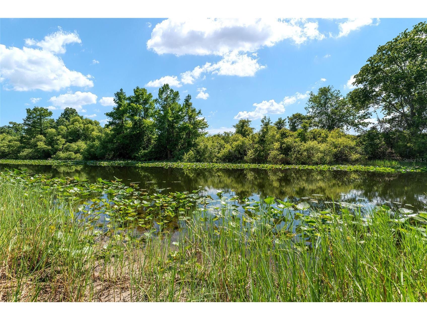 15120 SE 85th Street Ocklawaha FL 32179 OM723291 image50