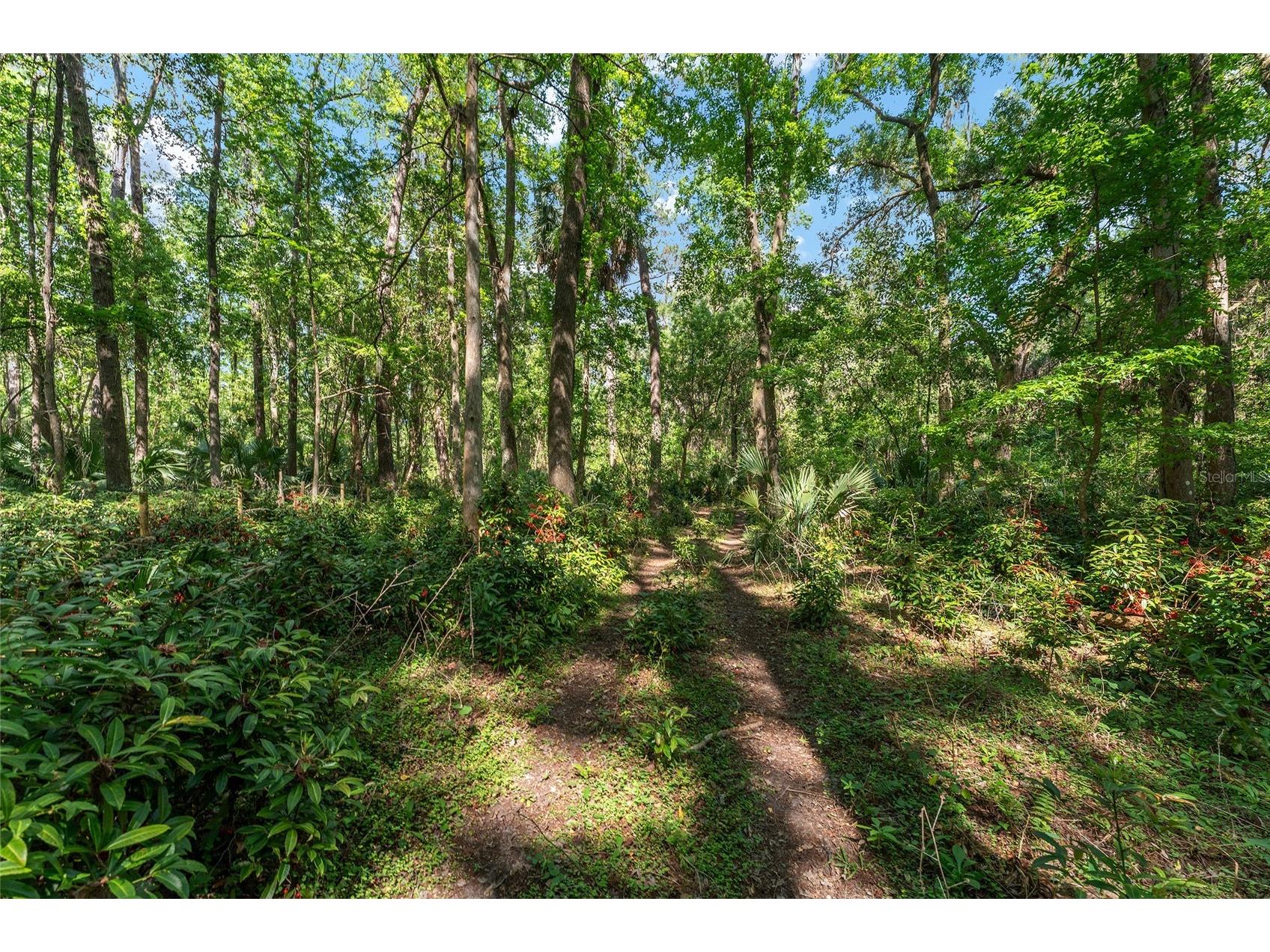 15120 SE 85th Street Ocklawaha FL 32179 OM723291 image51