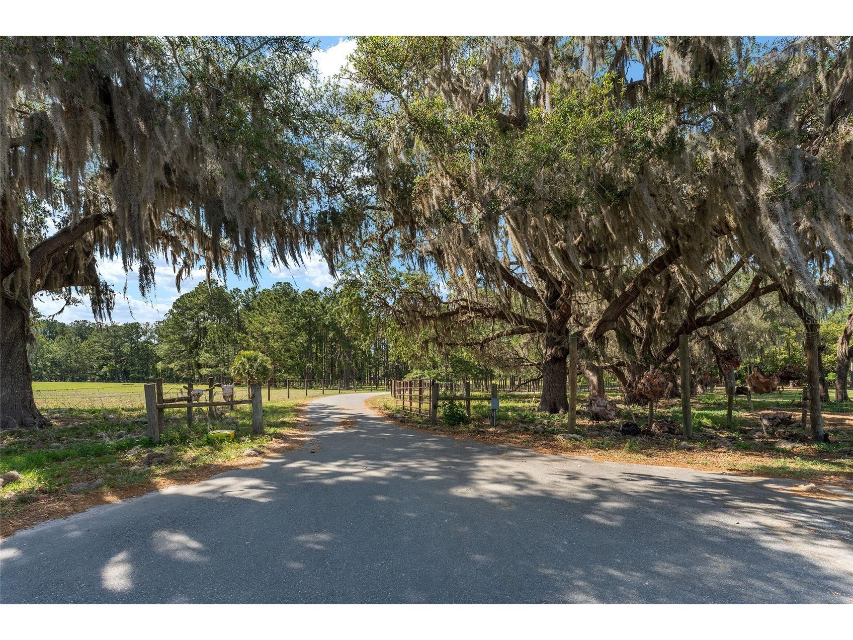15120 SE 85th Street Ocklawaha FL 32179 OM723291 image53