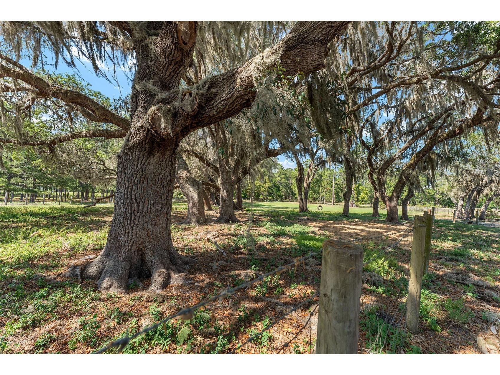 15120 SE 85th Street Ocklawaha FL 32179 OM723291 image54