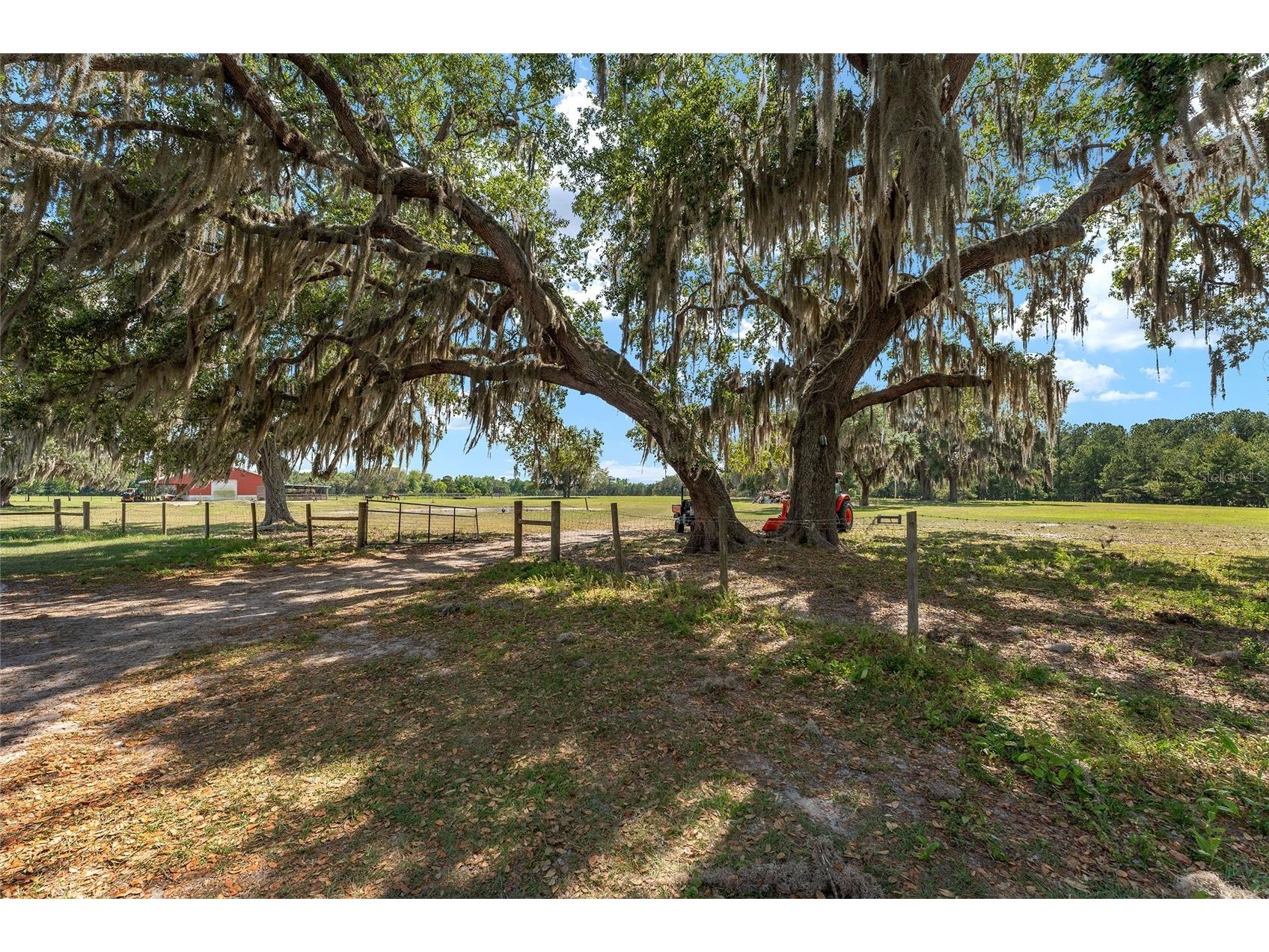 15120 SE 85th Street Ocklawaha FL 32179 OM723291 image55