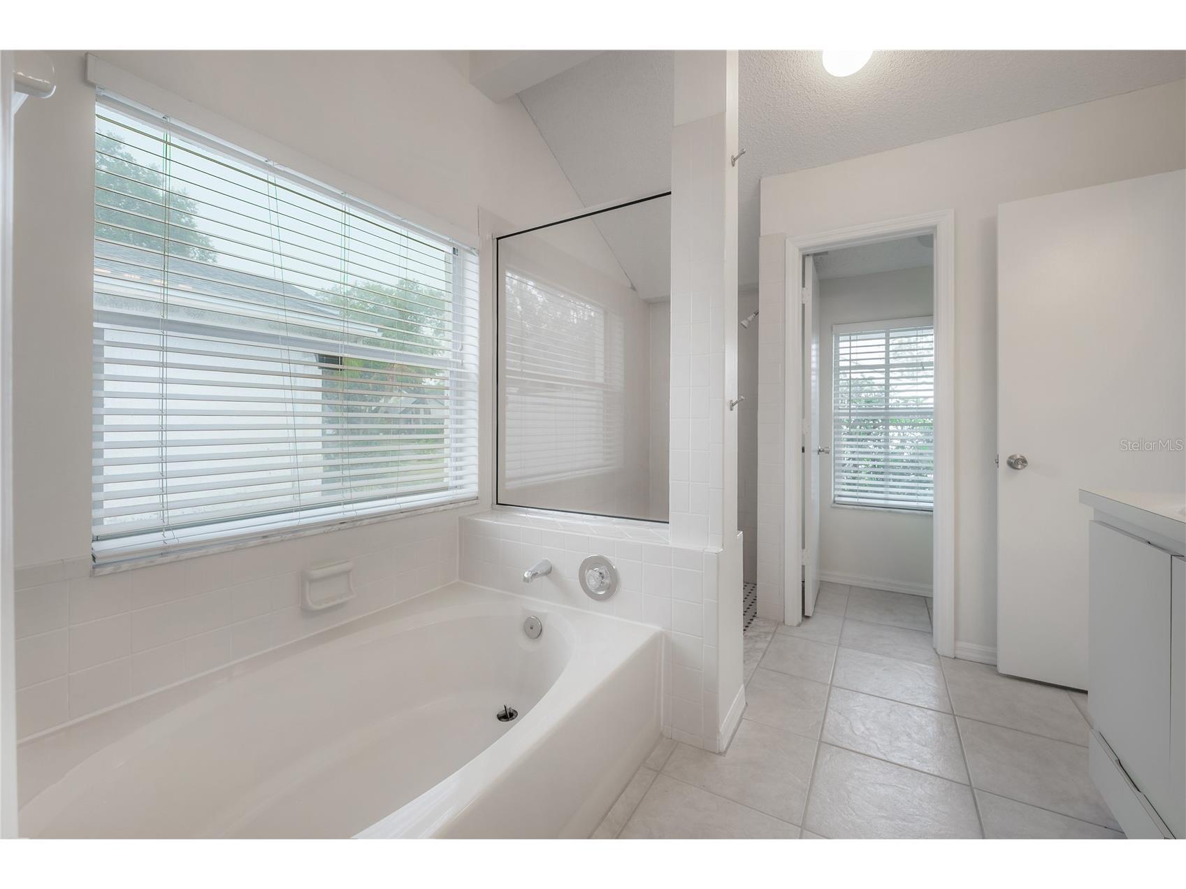 15121 Heathridge Drive Tampa FL 33625 TB8509177 image17