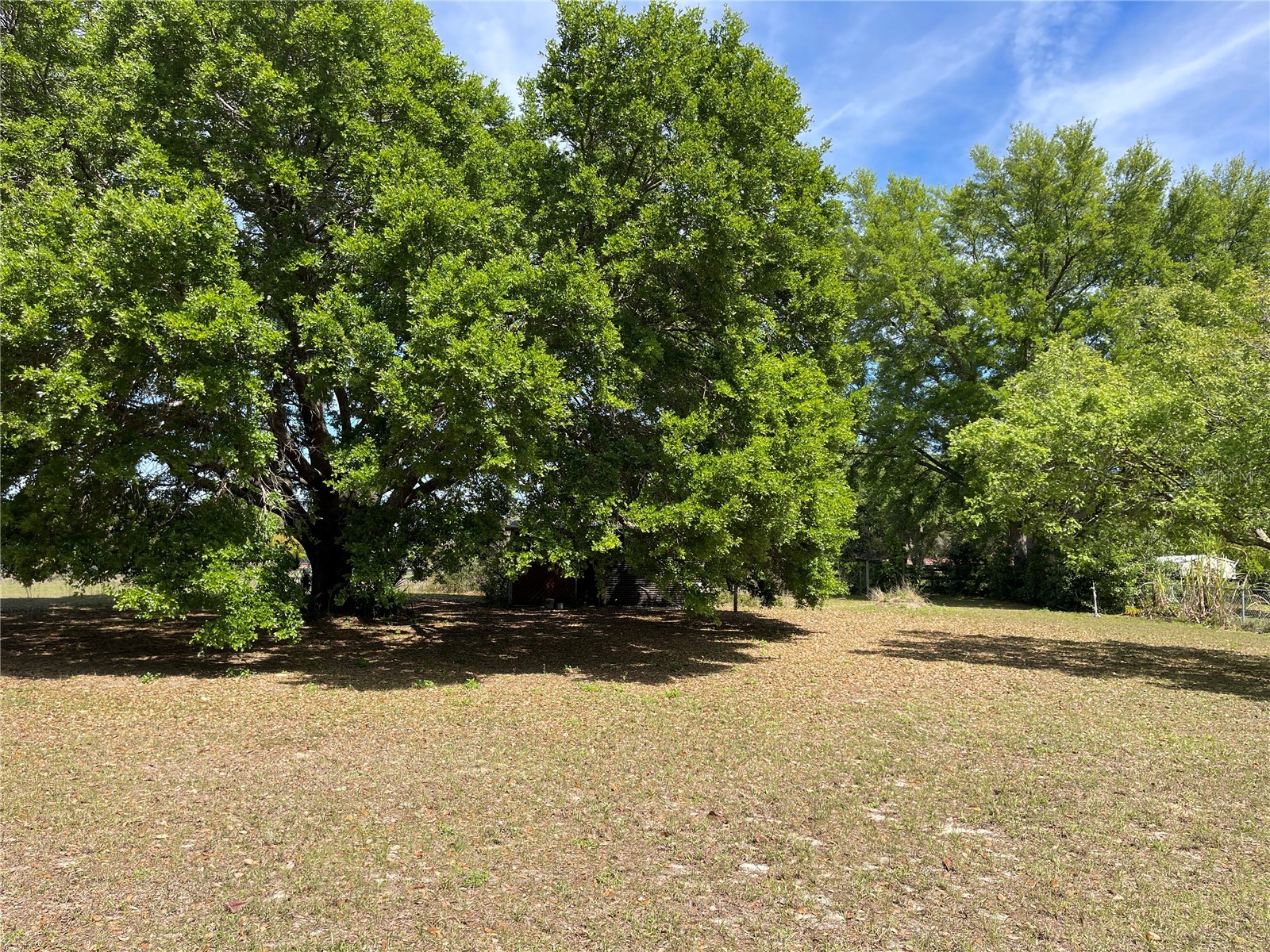 15121 SE 175th Street Weirsdale FL 32195 G5110890 image4