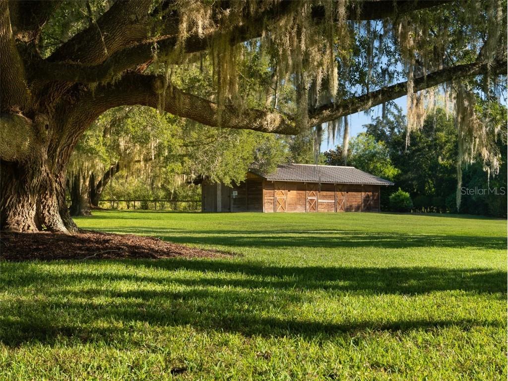 15122 NW 41st Avenue Newberry FL 32669 OM713267 image25