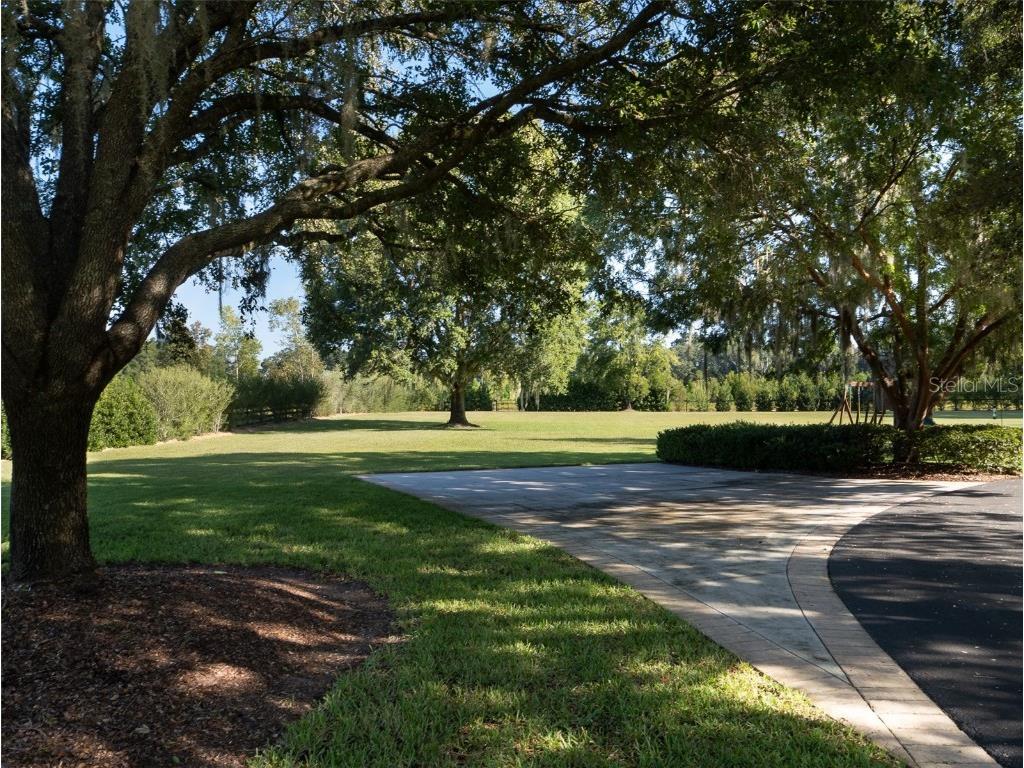 15122 NW 41st Avenue Newberry FL 32669 OM713267 image57