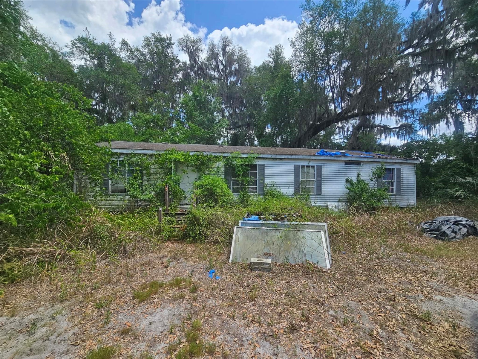 15123 NE 38th Court Citra FL 32113 OM723983 image1