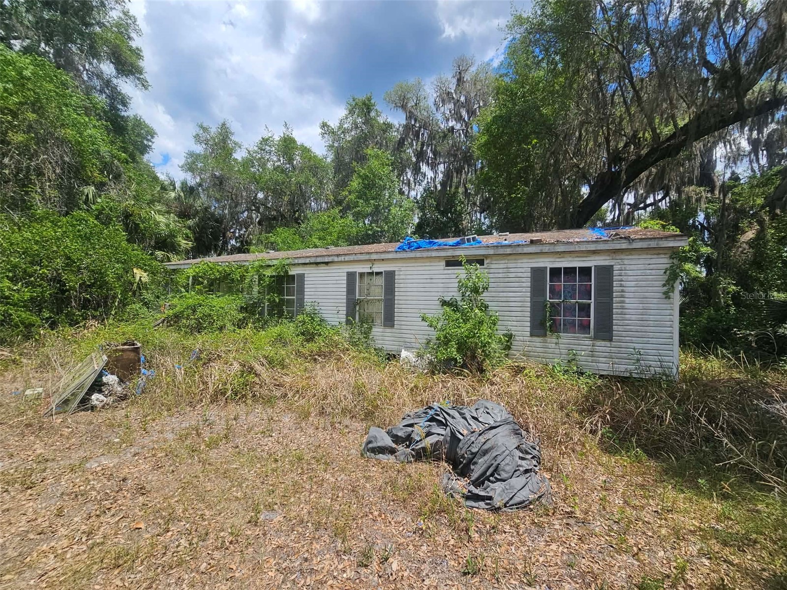 15123 NE 38th Court Citra FL 32113 OM723983 image2