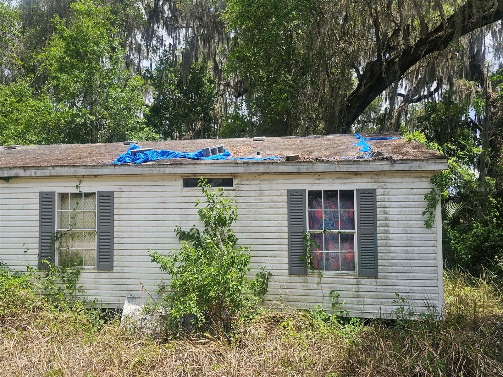 15123 NE 38th Court Citra FL 32113 OM723983 image3