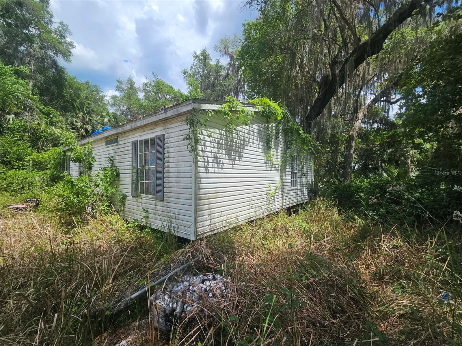 15123 NE 38th Court Citra FL 32113 OM723983 image4