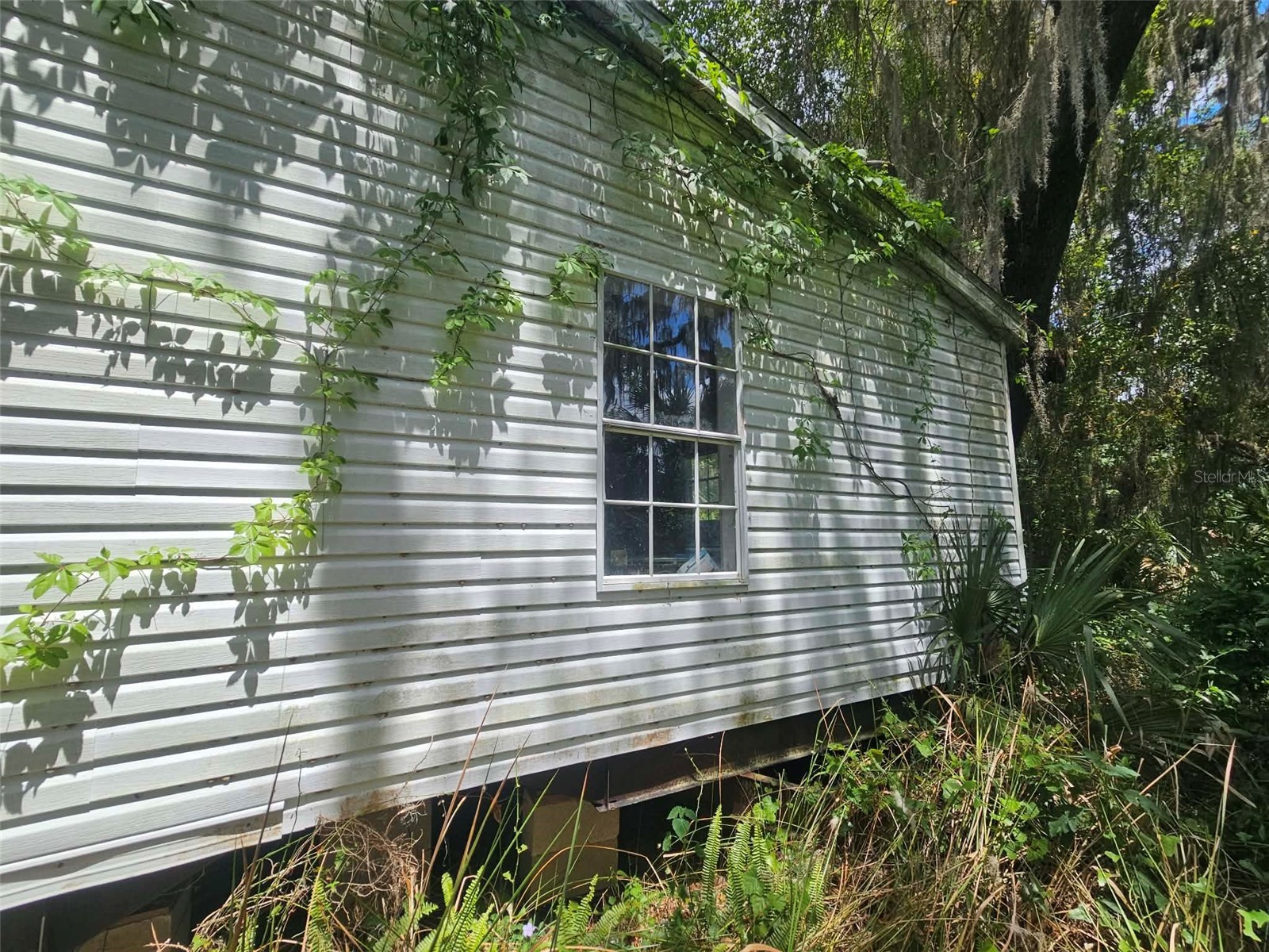 15123 NE 38th Court Citra FL 32113 OM723983 image5