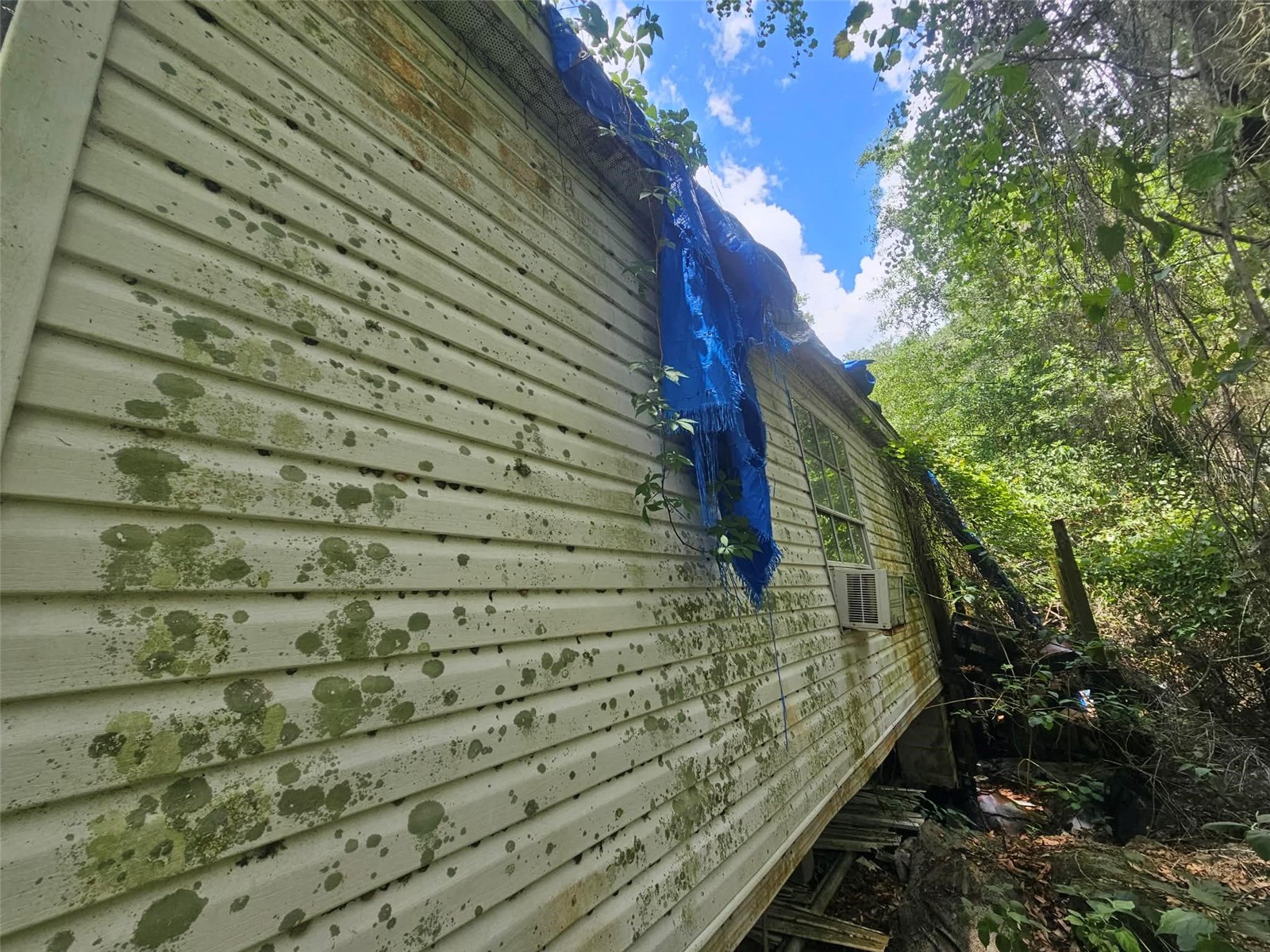 15123 NE 38th Court Citra FL 32113 OM723983 image6