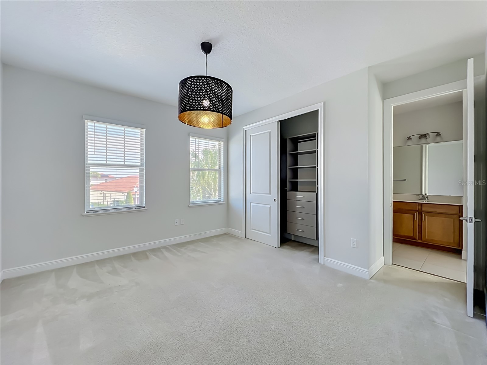 15124 Canoe Place Winter Garden FL 34787 O6419984 image22