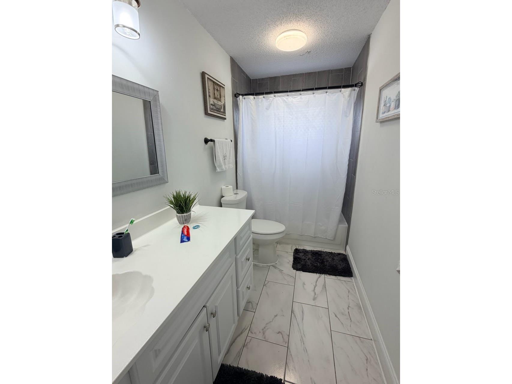 15126 Nighthawk Drive Tampa FL 33625 TB8498282 image17