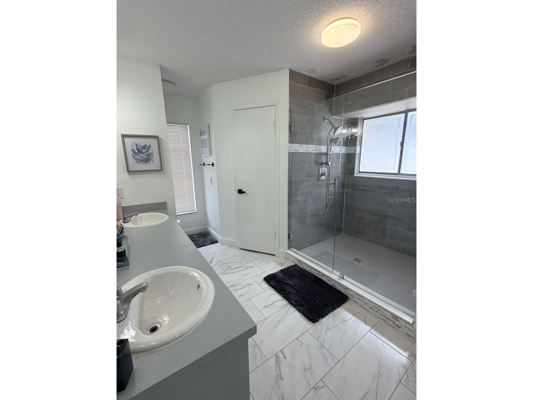 15126 Nighthawk Drive Tampa FL 33625 TB8498282 image20
