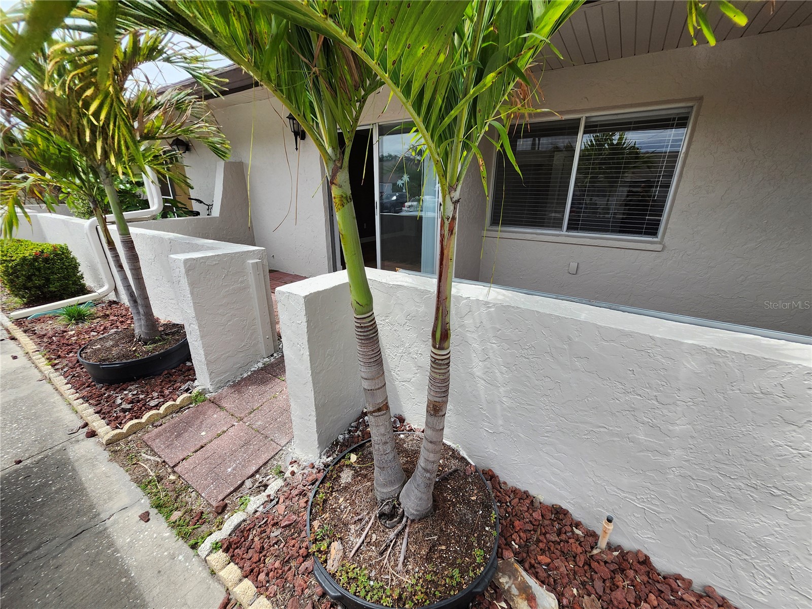 1513 16th Circle SE #43 Largo FL 33771 TB8511705 image1