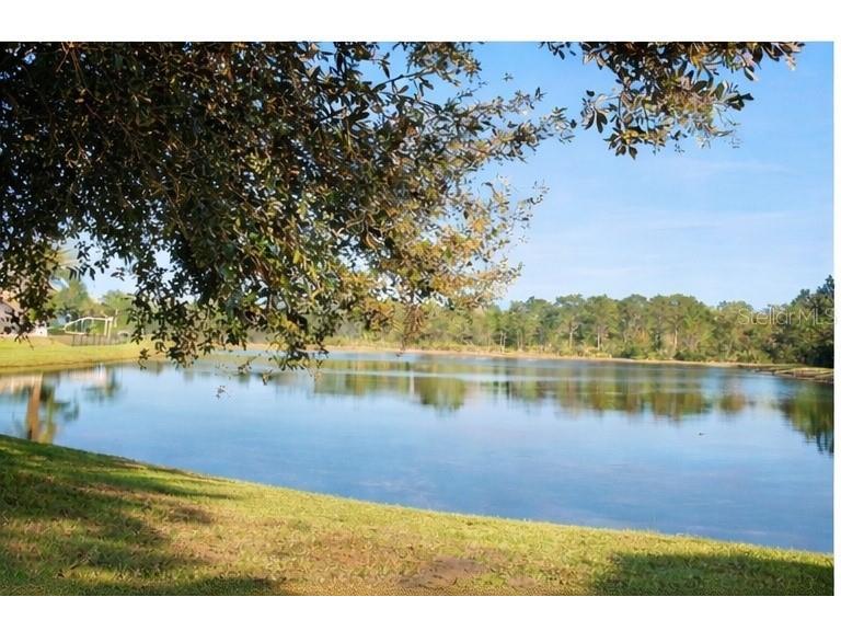 1513 Balsam Willow Trl Orlando FL 32825 O6368116 image19