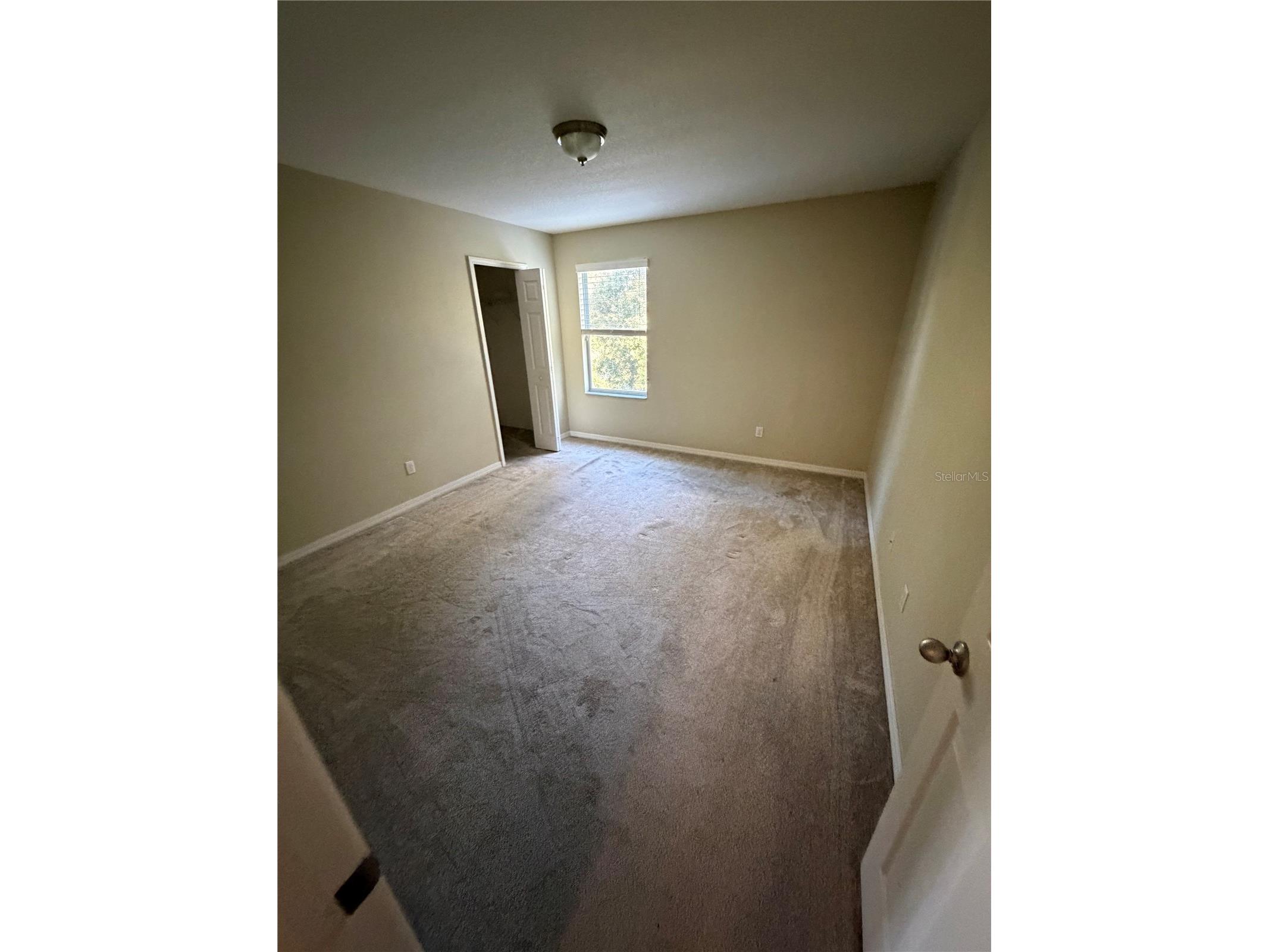 1513 Balsam Willow Trl Orlando FL 32825 O6368116 image19