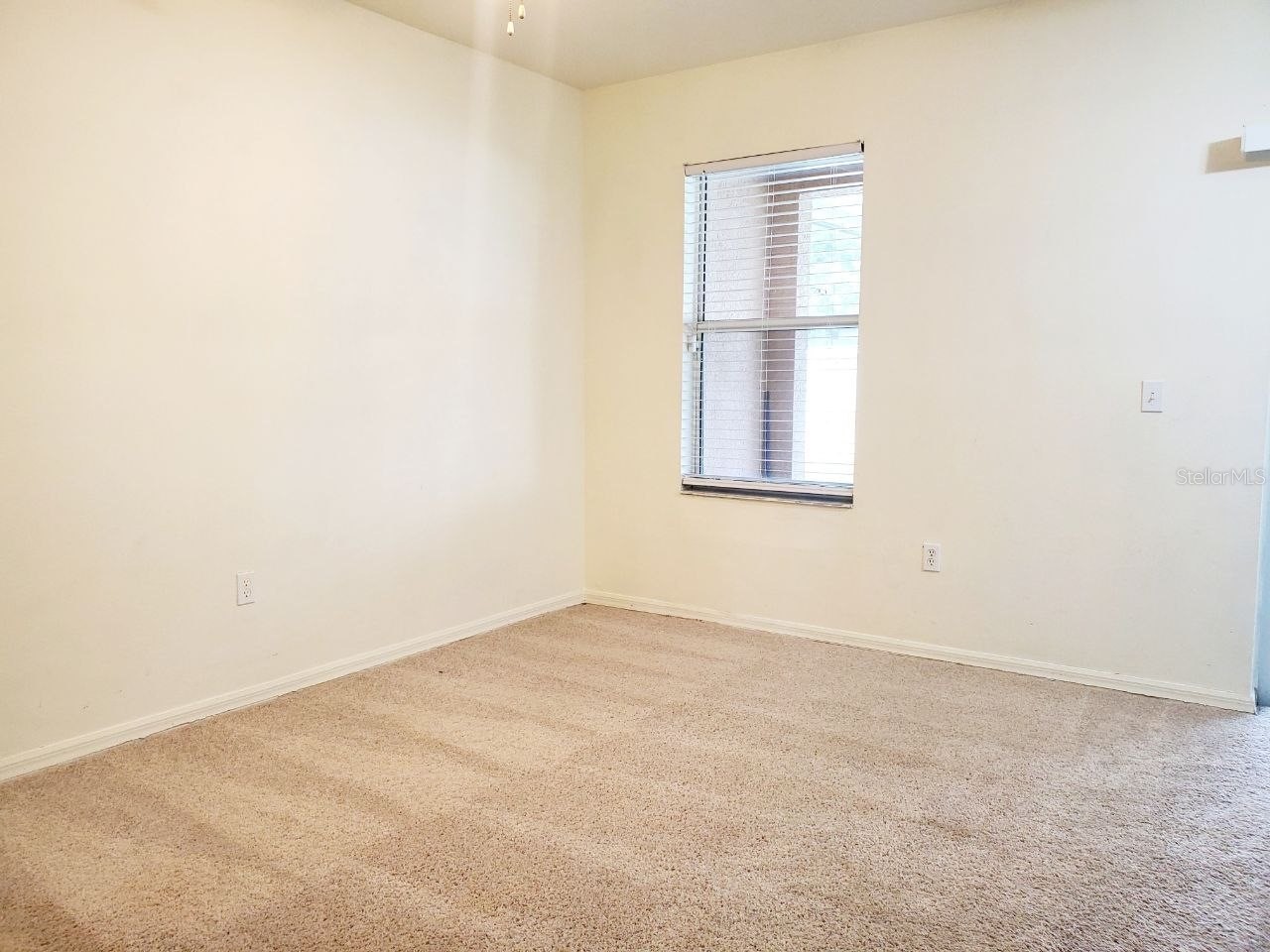1513 Deer Tree Lane Brandon FL 33510 TB8513250 image13