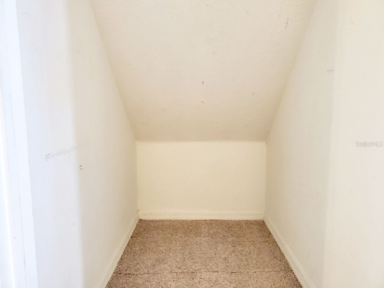 1513 Deer Tree Lane Brandon FL 33510 TB8513250 image17