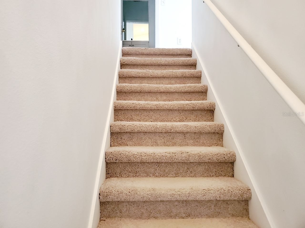 1513 Deer Tree Lane Brandon FL 33510 TB8513250 image19