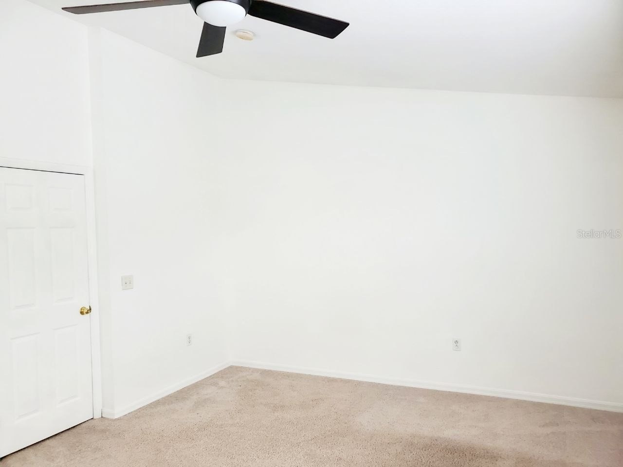 1513 Deer Tree Lane Brandon FL 33510 TB8513250 image21