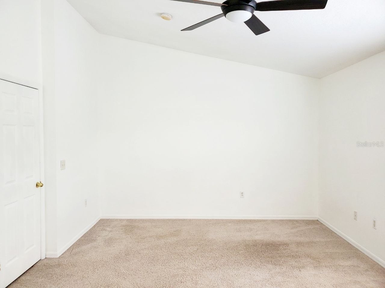 1513 Deer Tree Lane Brandon FL 33510 TB8513250 image23