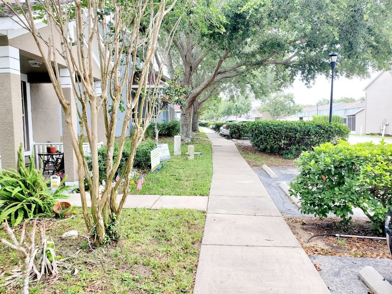 1513 Deer Tree Lane Brandon FL 33510 TB8513250 image3