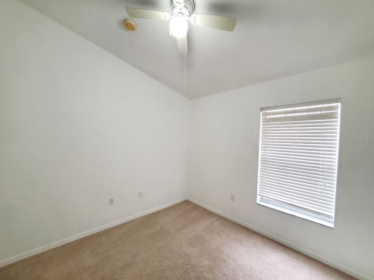1513 Deer Tree Lane Brandon FL 33510 TB8513250 image34