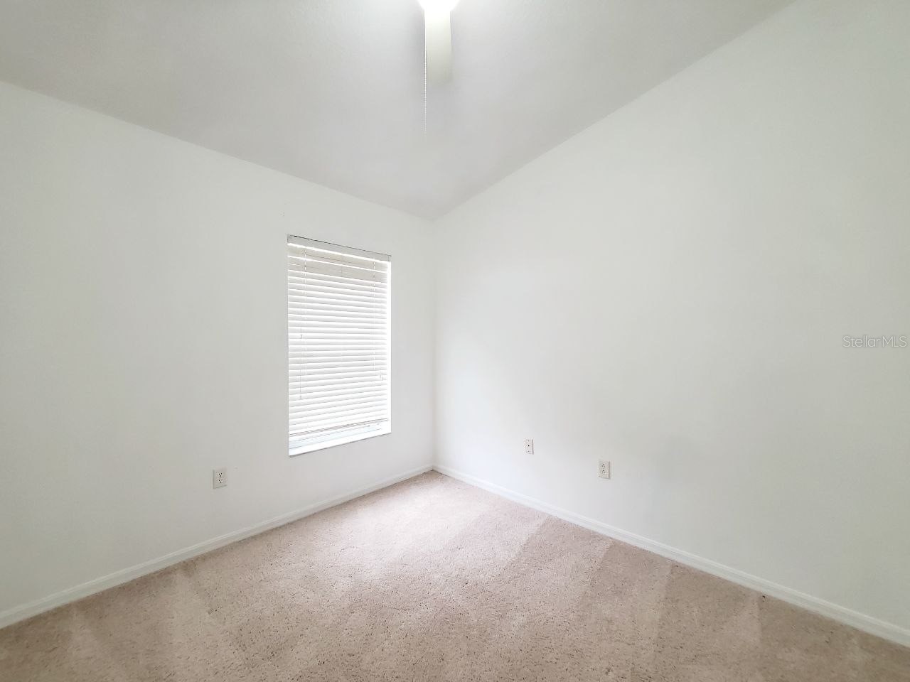 1513 Deer Tree Lane Brandon FL 33510 TB8513250 image39