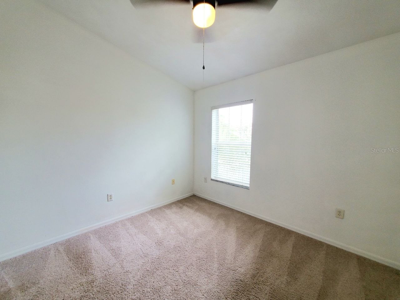 1513 Deer Tree Lane Brandon FL 33510 TB8513250 image41