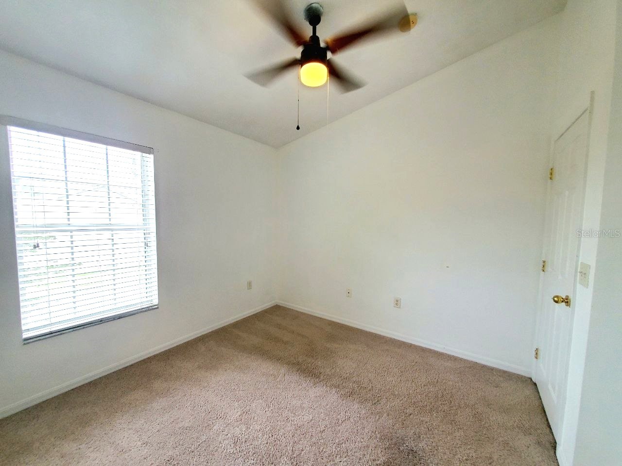 1513 Deer Tree Lane Brandon FL 33510 TB8513250 image43