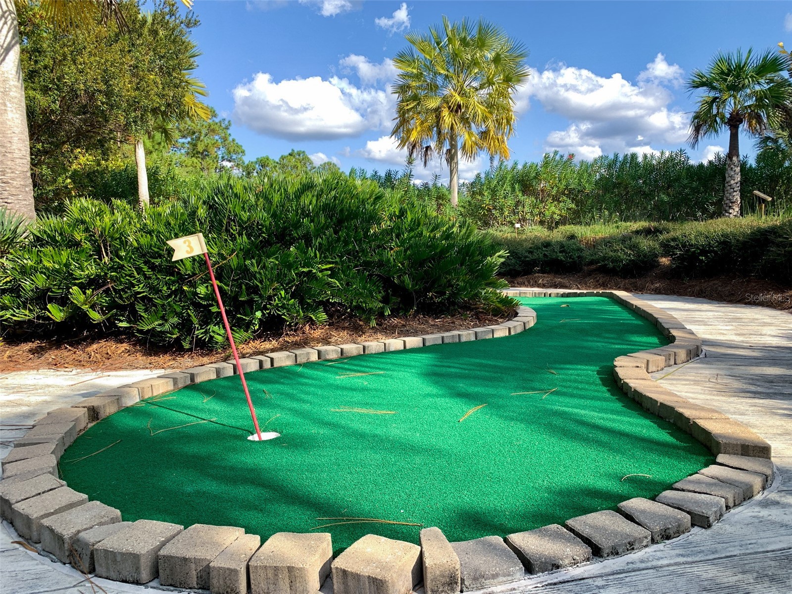1513 Discovery Street Davenport FL 33896 O6387502 image37