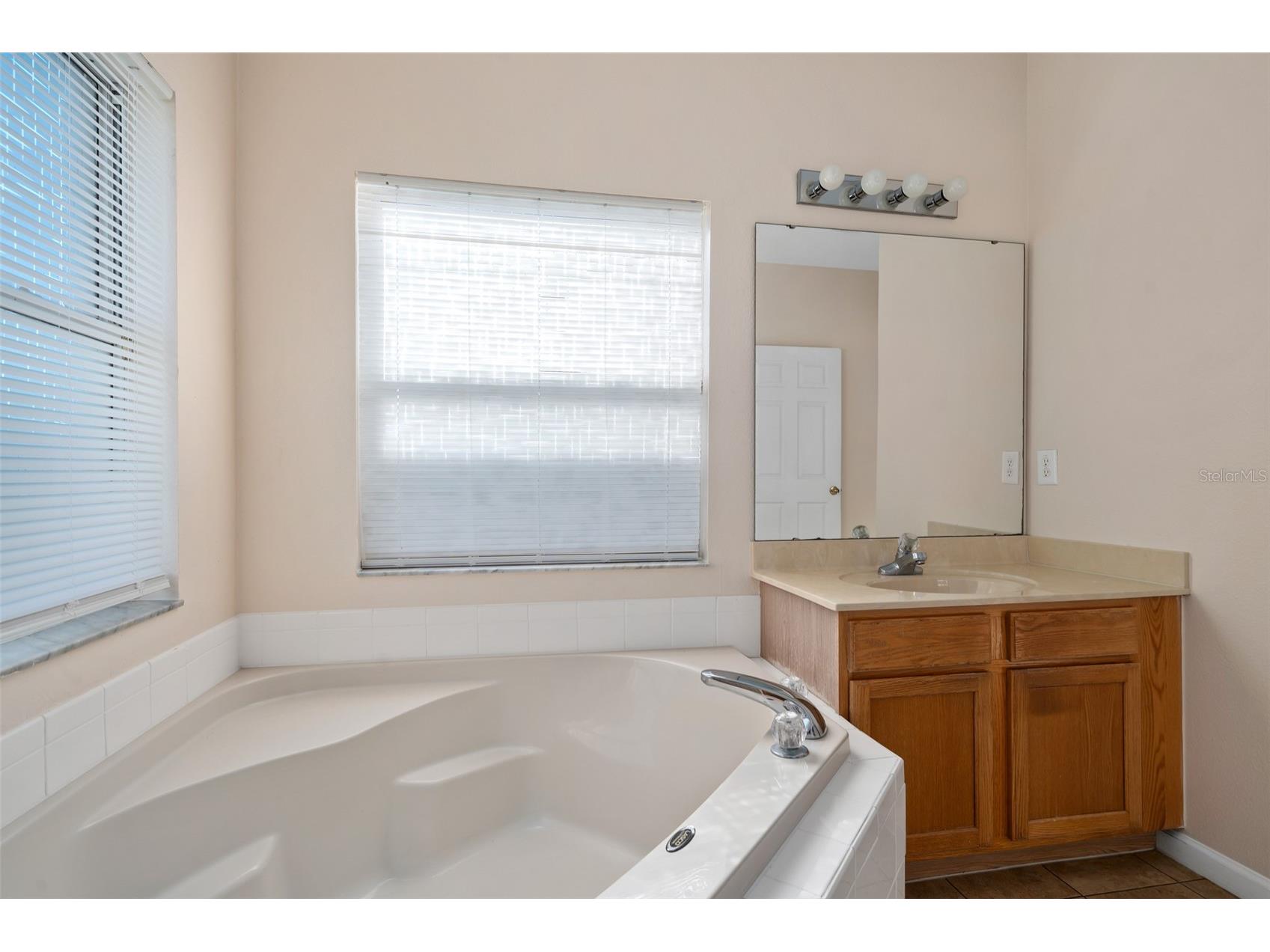 1513 Harrier Drive Orlando FL 32837 S5149164 image23