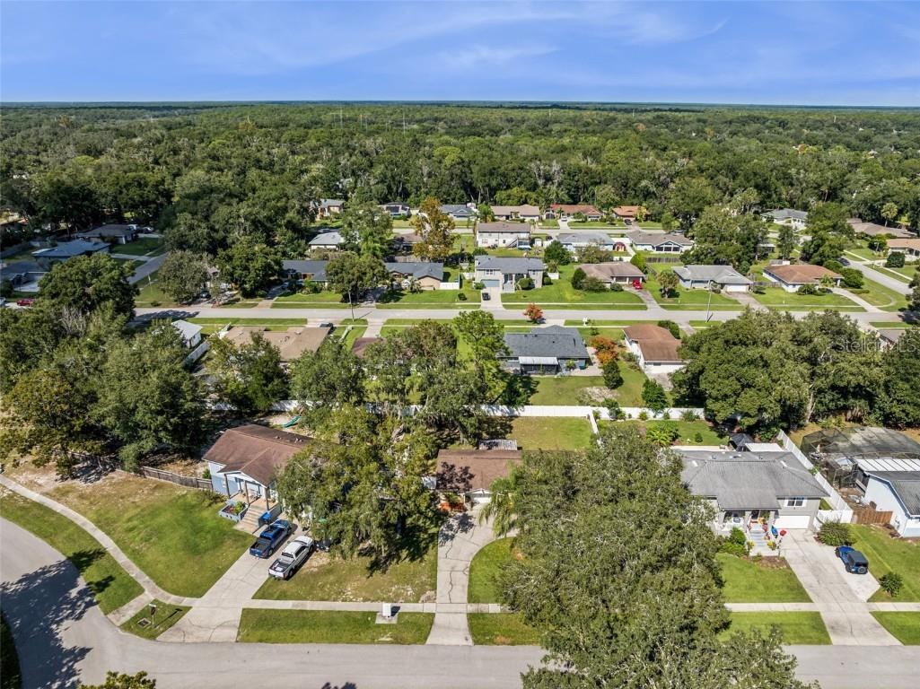 1513 Leopard Ct Apopka FL 32712 O6354765 image35