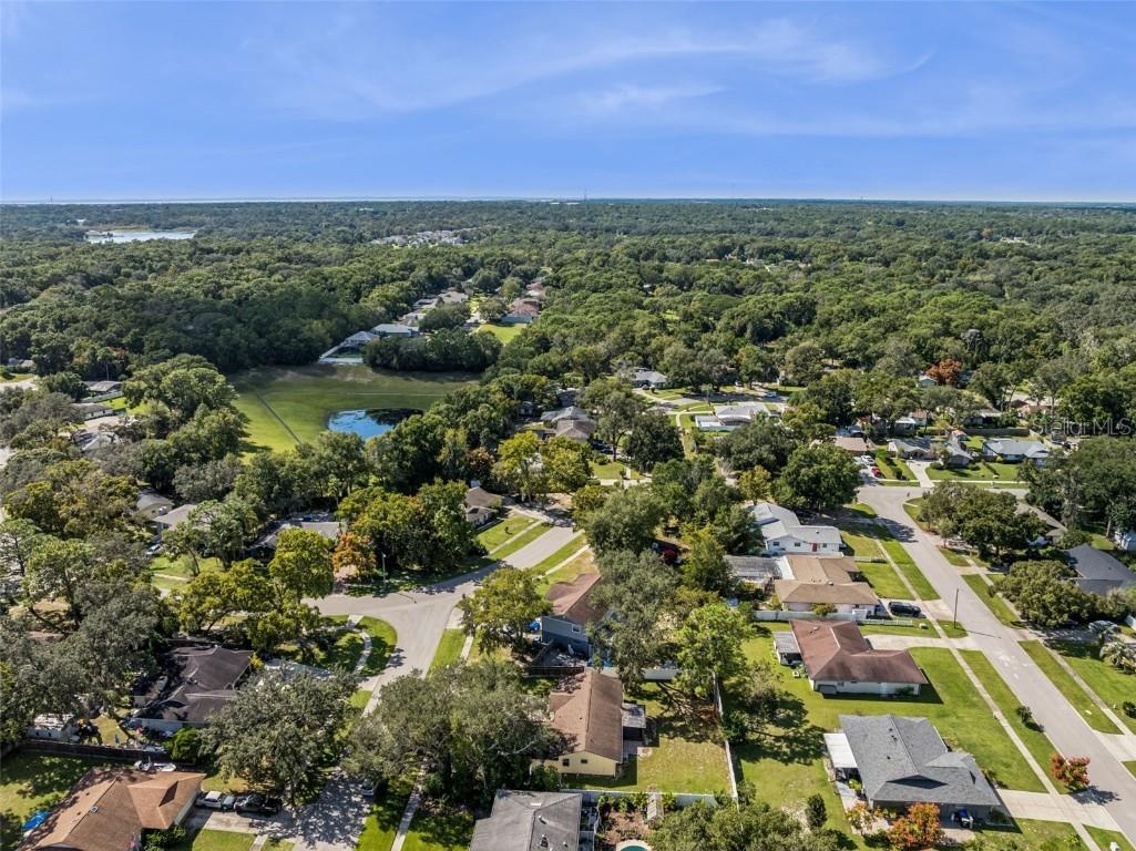 1513 Leopard Ct Apopka FL 32712 O6354765 image38