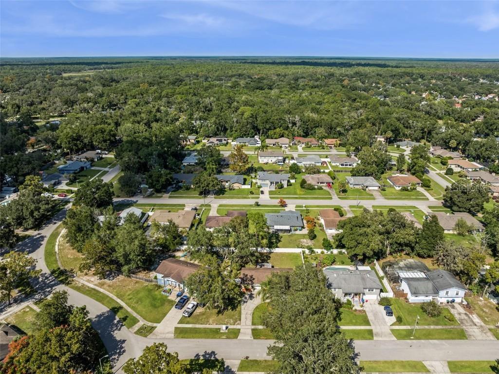 1513 Leopard Ct Apopka FL 32712 O6354765 image41