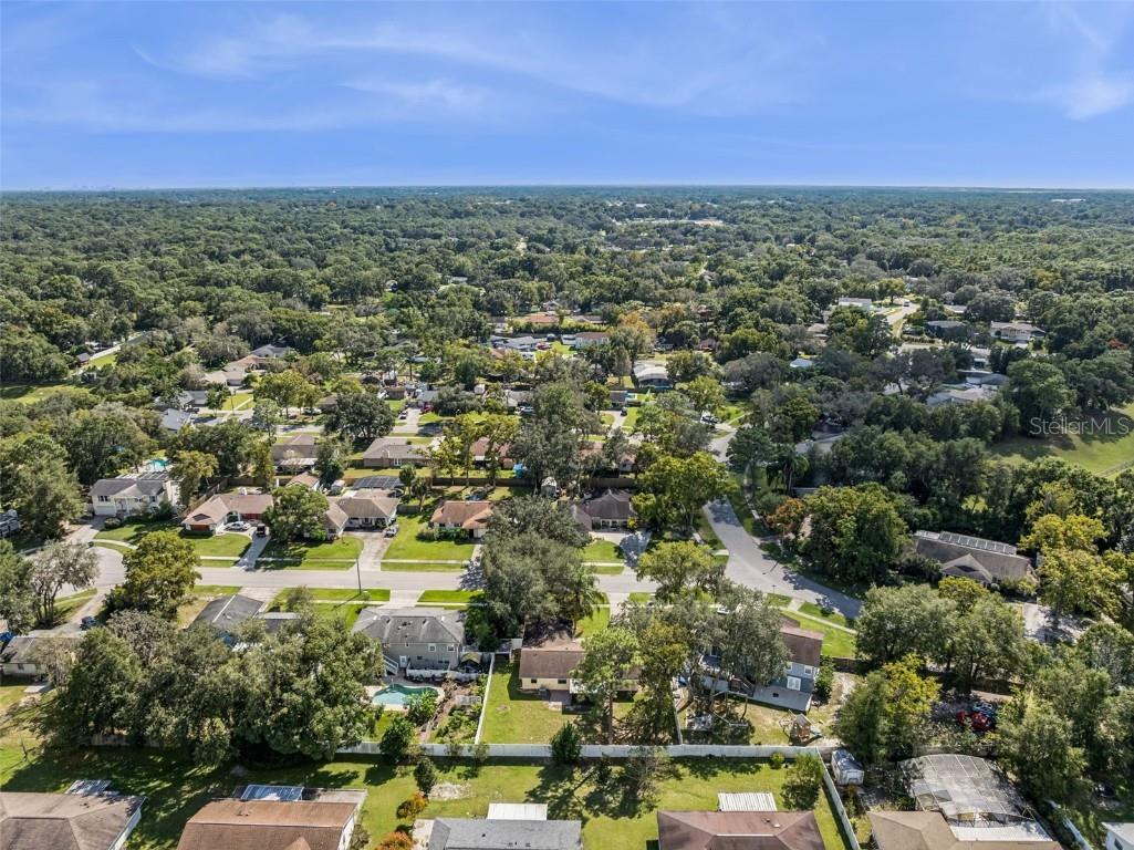 1513 Leopard Ct Apopka FL 32712 O6354765 image44