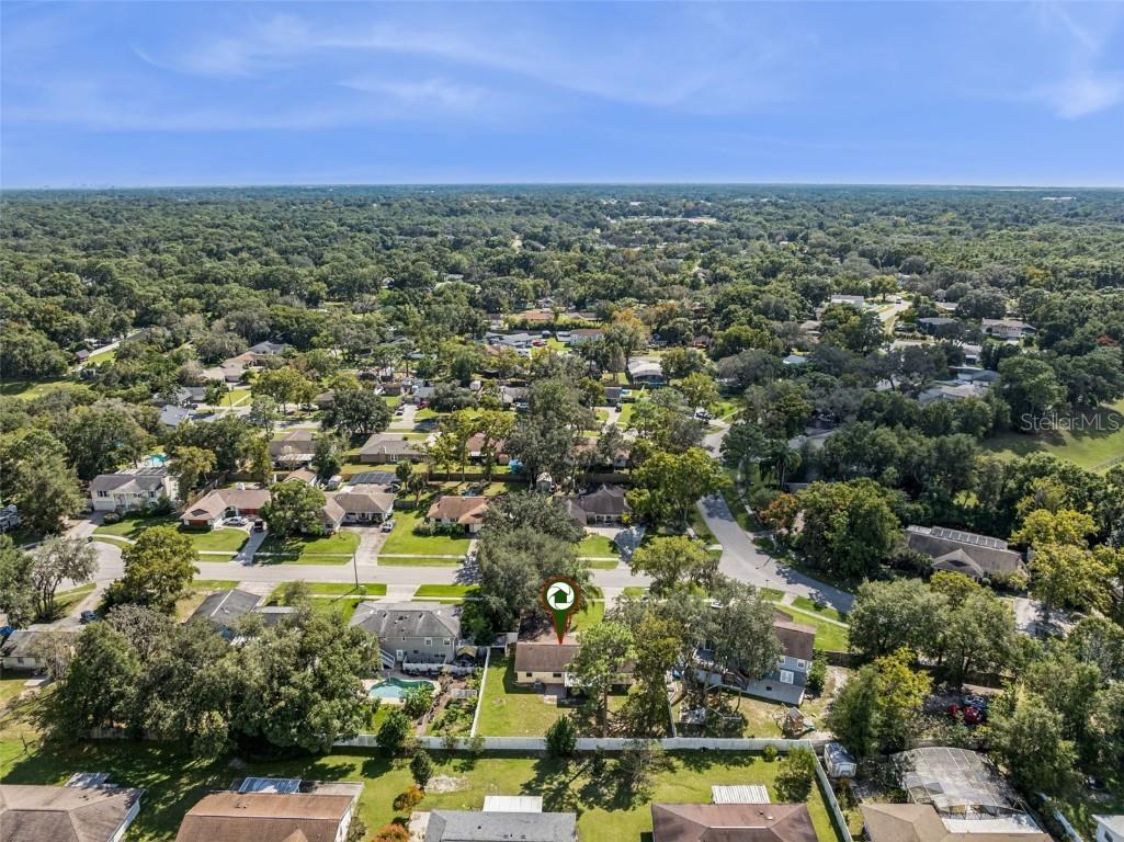 1513 Leopard Ct Apopka FL 32712 O6354765 image45