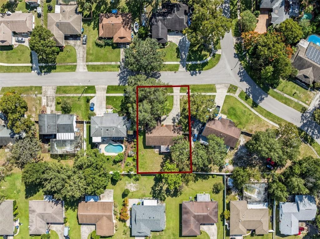 1513 Leopard Ct Apopka FL 32712 O6354765 image46