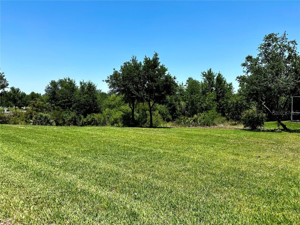 1513 Maidstone Court Davenport FL 33896 O6309591 image8